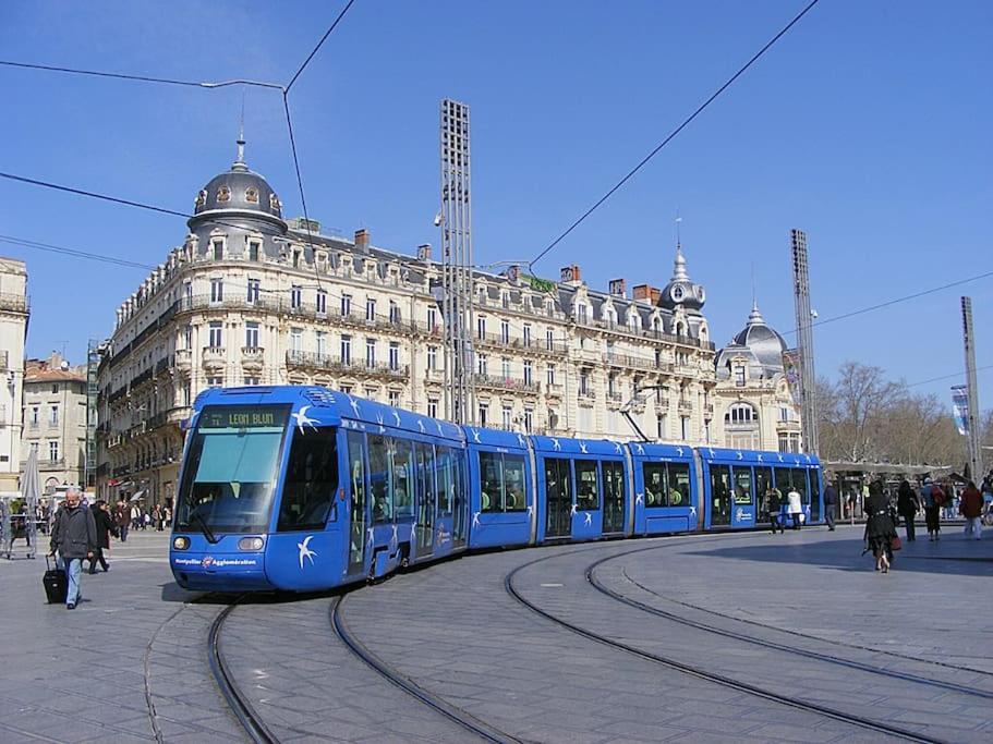 Appart Top Center 2 Chambres 2 Salles De Bain Montpellier Zewnętrze zdjęcie